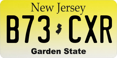 NJ license plate B73CXR