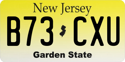NJ license plate B73CXU