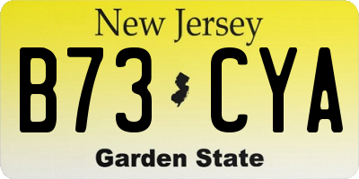 NJ license plate B73CYA