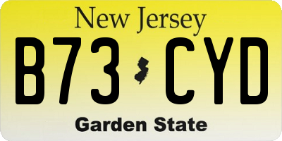 NJ license plate B73CYD