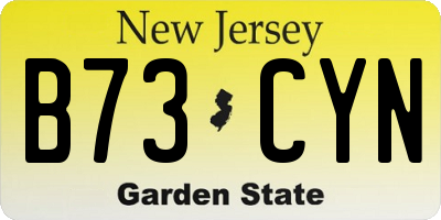NJ license plate B73CYN
