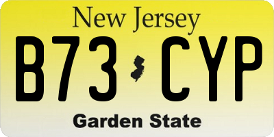 NJ license plate B73CYP