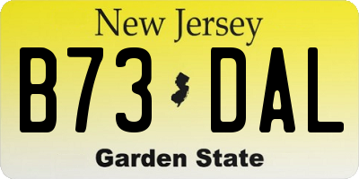 NJ license plate B73DAL