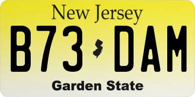 NJ license plate B73DAM