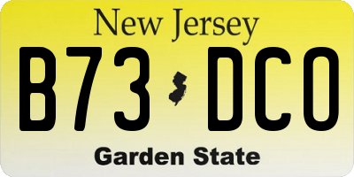 NJ license plate B73DCO