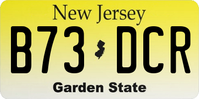 NJ license plate B73DCR