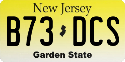 NJ license plate B73DCS