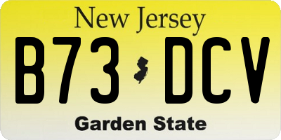 NJ license plate B73DCV