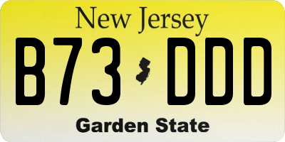 NJ license plate B73DDD