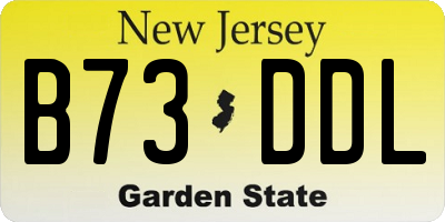 NJ license plate B73DDL