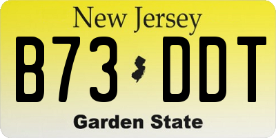 NJ license plate B73DDT
