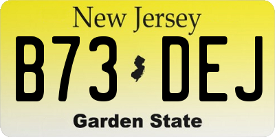 NJ license plate B73DEJ