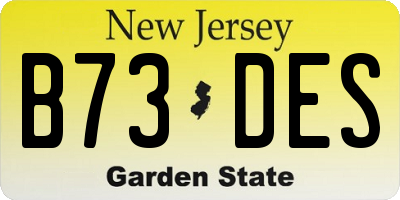 NJ license plate B73DES