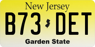 NJ license plate B73DET