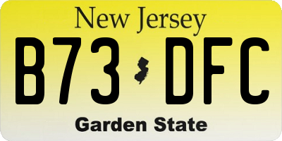 NJ license plate B73DFC