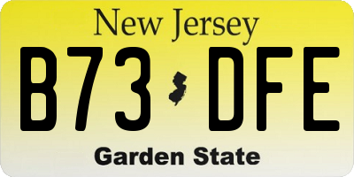 NJ license plate B73DFE