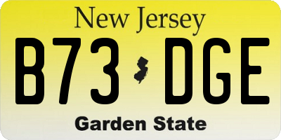 NJ license plate B73DGE