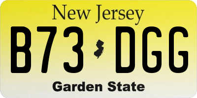 NJ license plate B73DGG