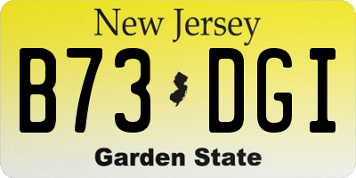 NJ license plate B73DGI
