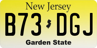NJ license plate B73DGJ