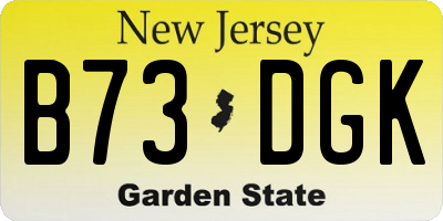 NJ license plate B73DGK
