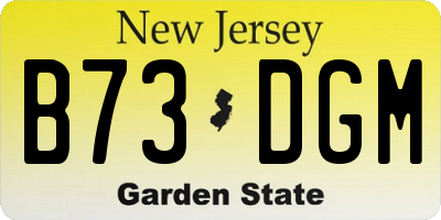 NJ license plate B73DGM