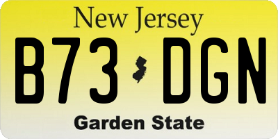 NJ license plate B73DGN