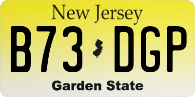 NJ license plate B73DGP
