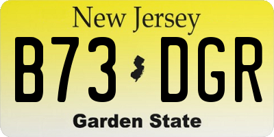 NJ license plate B73DGR
