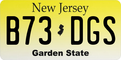 NJ license plate B73DGS
