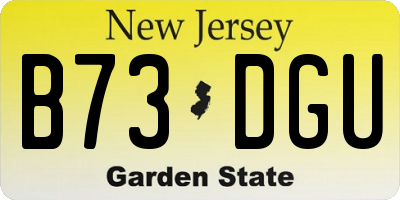 NJ license plate B73DGU