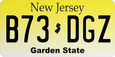 NJ license plate B73DGZ