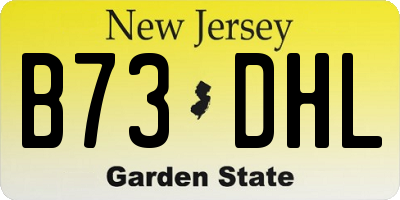 NJ license plate B73DHL