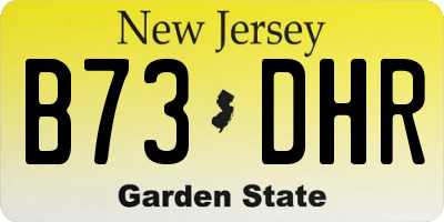 NJ license plate B73DHR