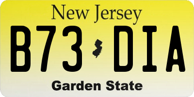 NJ license plate B73DIA