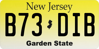 NJ license plate B73DIB