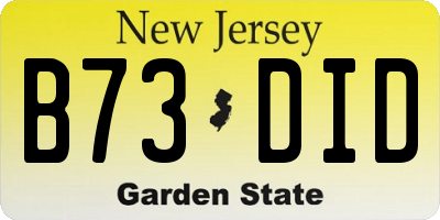 NJ license plate B73DID