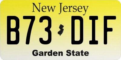 NJ license plate B73DIF