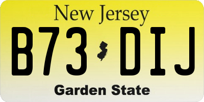 NJ license plate B73DIJ
