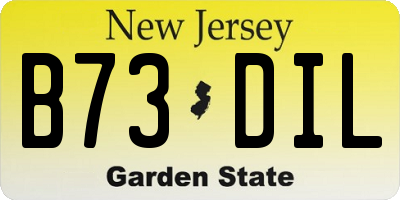 NJ license plate B73DIL