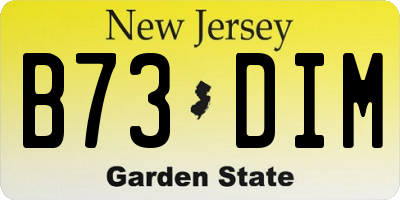 NJ license plate B73DIM