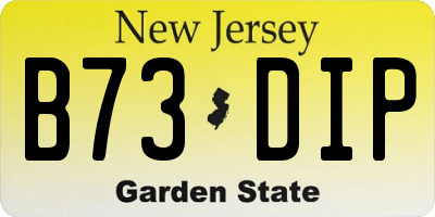 NJ license plate B73DIP
