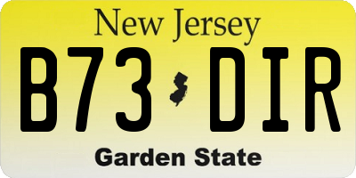 NJ license plate B73DIR