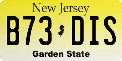 NJ license plate B73DIS