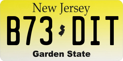 NJ license plate B73DIT