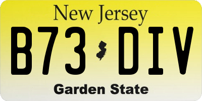 NJ license plate B73DIV