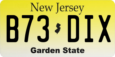 NJ license plate B73DIX