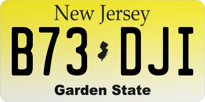 NJ license plate B73DJI