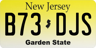 NJ license plate B73DJS