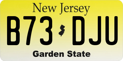 NJ license plate B73DJU